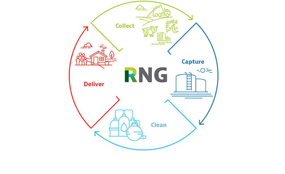RNG Logo