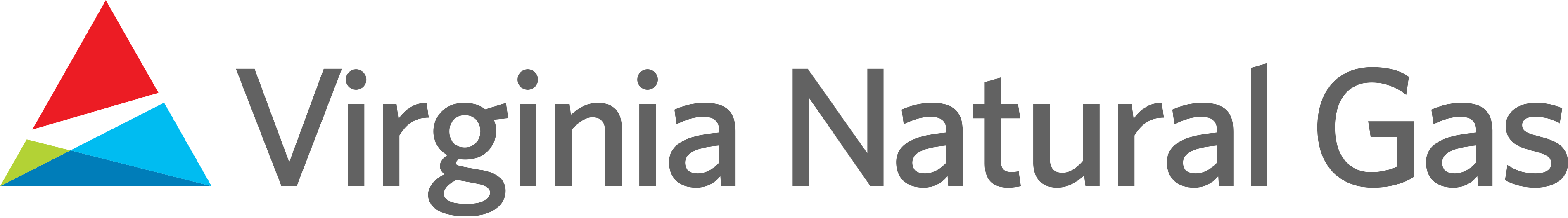 Virginia Natural Gas logo