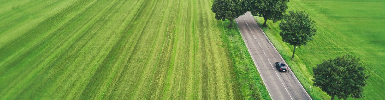 alternate fuel automobile