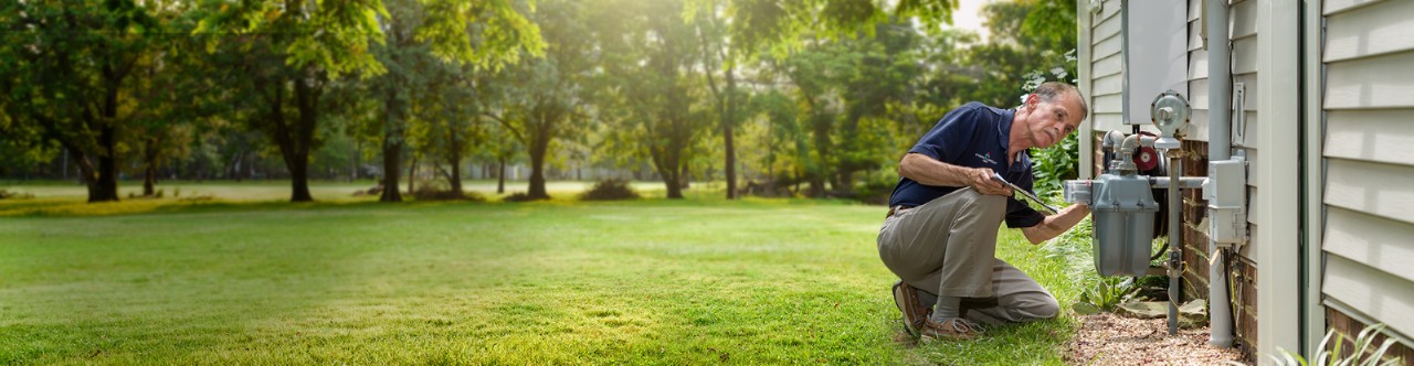 home within a lush green environment