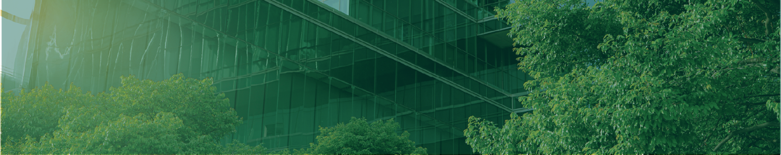 building in a lush green environment