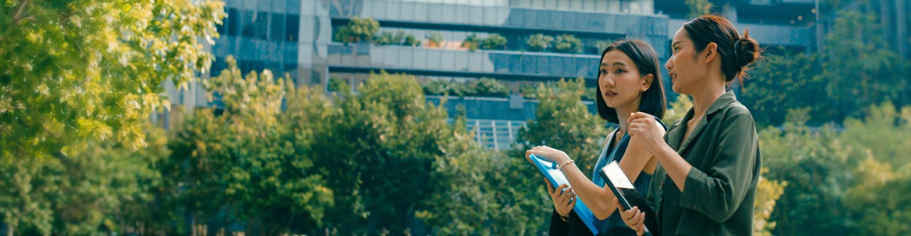 home within a lush green environment