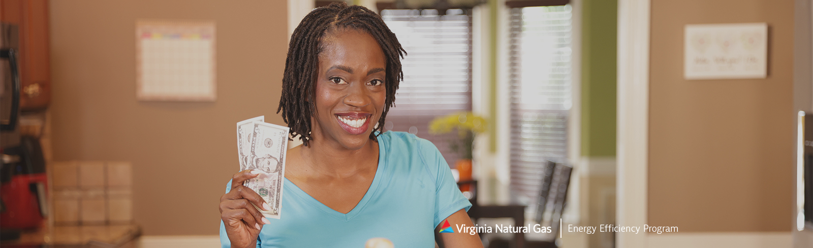 Free Online Home Energy Audit