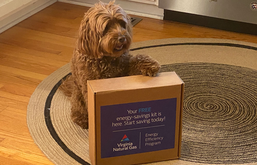 Dog with paw on box