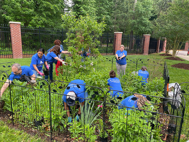 Planting with Purpose: Revitalizing the Monarch Way Station 