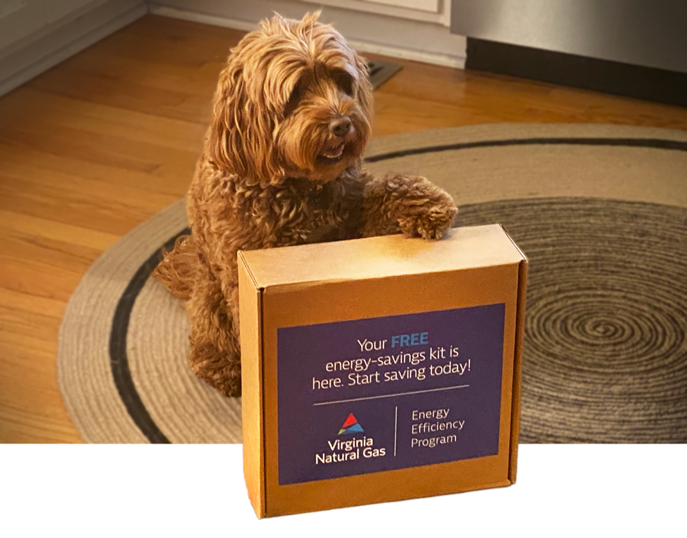 Dog with paw on box