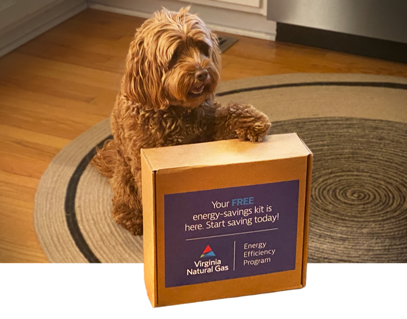 Dog with paw on box